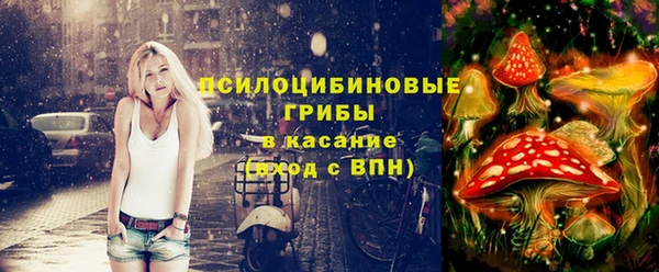 PSILOCYBIN Покачи