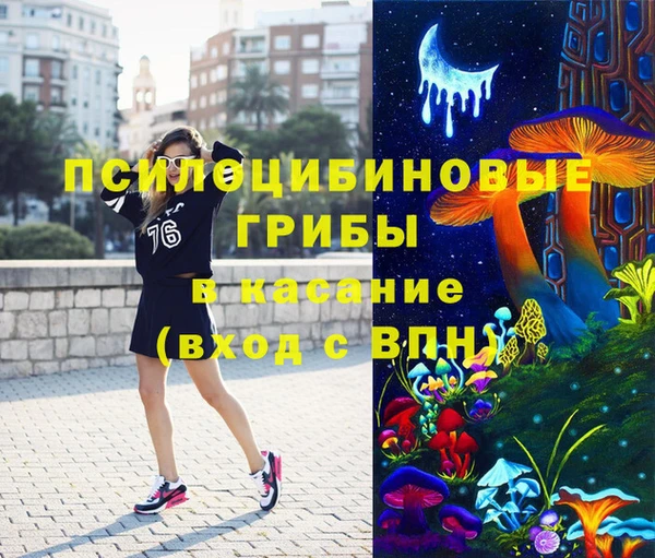 PSILOCYBIN Балабаново