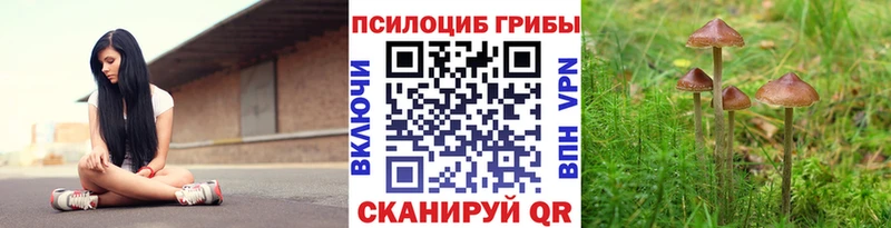 kraken Татарск Псилоцибиновые грибы Psilocybe купить наркотики сайты